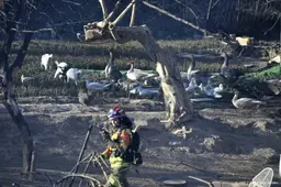 Dode door natuurbrand bij Valencia