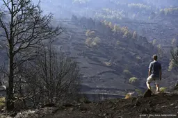 Reisadvies Spanje naar geel om natuurbranden