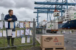 BRUSSEL WURGT ONZE BOEREN, MAAR IMPORTEERT HORMOONVLEES EN SALMONELLAKIP