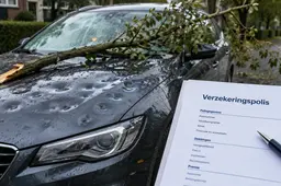 Stormschade aan je auto? Met alleen WA kun je fluiten naar vergoeding