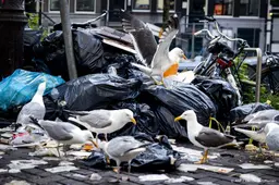 Vuilnis eerder opgehaald vanwege verwachte warmte