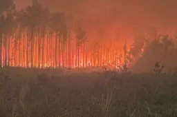 Natuurbranden verwoesten honderden gebouwen in staat Washington