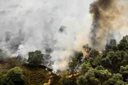 Gebied van 100 hectare getroffen door natuurbrand Noord-Limburg