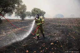 Natuurbrand bij Athene grotendeels onder controle