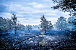 Ook woensdag nog geen treinen bij Venray door grote natuurbrand