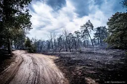 Belgische hulp en sproeisystemen bij bestrijden brand Limburg