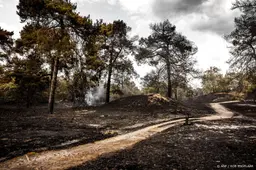 Noodverordening om natuurbrand Boschhuizerbergen nog actief