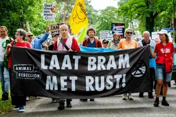 Dierenrechtenorganisaties doen aangifte om doodschieten wolf Bram