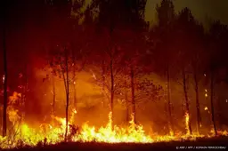 Franse tiener vast om fatale bosbrand bij Bordeaux