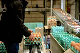 Boelema: nog niets onomkeerbaars gebeurd met vergunningen