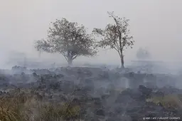Ruim 2000 hectare verbrand in Belgisch natuurgebied Hoge Venen