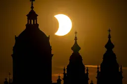 Onderzoek: mezen en duiven verstopten zich tijdens eclips