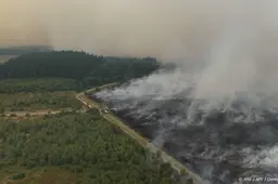 Evacuaties in Duitsland om grote natuurbrand in België