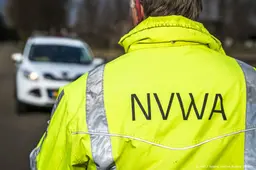 NVWA waarschuwt voor meeliftende Japanse kever