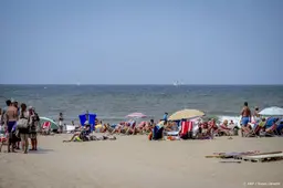 anp190826142 1
