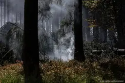 Nederlandse brandweer helpt komende dagen bij natuurbrand België