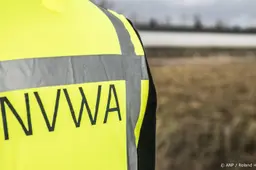 NVWA neemt 100 kilo illegaal gevangen tapijtschelpen in beslag