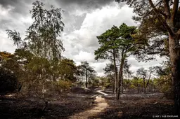 Meer Nederlanders bezorgd over gevolgen extreem weer
