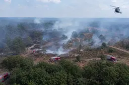 Drie natuurbranden in Wijchen: Politie jaagt op vermoedelijke brandstichter!