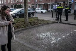 Autodiefstal schiet omhoog in Brabant: Oosterhout gaat van 3 naar 20 gestolen voertuigen
