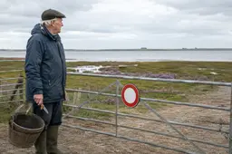 Eeuwenoude Zeeuwse traditie kapotgeregeld: Lamsoor mag pas worden gesneden als het taai is!
