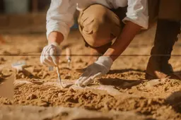 Archeologen doen spectaculaire vondst: Complete straten, winkels en werkplaatsen na 1.300 jaar teruggevonden