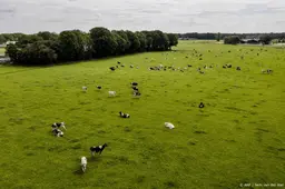 PBL: verdienmodel voor boer bij natuurgebied niet altijd haalbaar