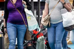 Gezondheidsraad tegen structureel invoeren 13 wekenecho 