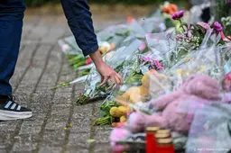 Verdachte van dodelijke aanrijding Vogelwaarde komt vrij