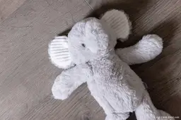 Chatfunctie Veilig Thuis veel vaker gebruikt nu die 24/7 open is