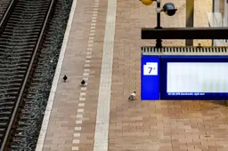 Stations ontruimd om achtergelaten tassen, verband onduidelijk