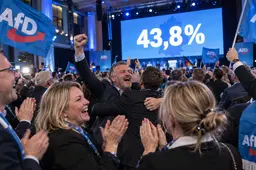 Historische aardverschuiving in Saksen-Anhalt: AfD haalt verpletterende 43,8 procent en sloopt de gevestigde orde