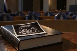 Pro-Kamerlid Vliegenthart noemt abortus 'zorg' en wil het uit het strafrecht, maar bij die zorg eindigt elk jaar 39.000 keer een leven