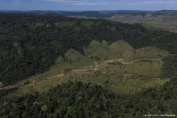 Ontbossing in Braziliaanse Amazone op laagste niveau ooit gemeten