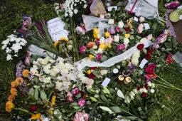 Verdachte dood Hajar ook verdacht van doden pleegvader