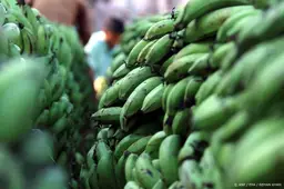 Bananenverkopers waarschuwen voor prijsverhogingen