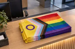Illustratie van gevouwen intersekse-progressvlaggen op een gemeentelijke ontvangstbalie.