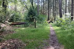 ekne_1000042105_39e2