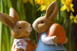 pasen-paashazen-van-chocolade-915x518-1