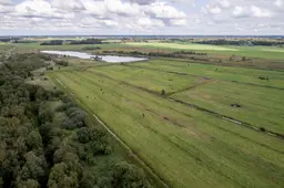 Foto grondplan (natuurgebied Alde Feanen)