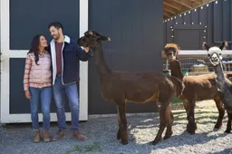 jVNm2H2sbW4XWiiFo2UXZmMVort