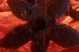 StrangerThings_S5_0093_R