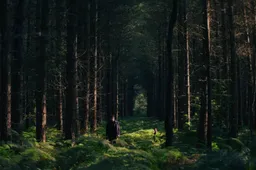 zL06jppkcYulJq3c8BYC8qVf1lI