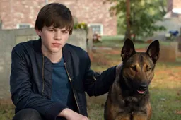 372zOvpdP9WuZRfvwdOp4jZ5yjd