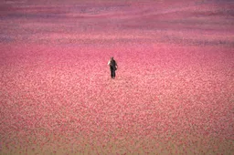 HouseoftheSprirts2_d1becd