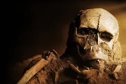 19c24b8b-ecaa-398c-b059-63ebb9dc9a1e