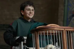 7DwoVY4jSplwTJ1LwBOZwA0ibZC