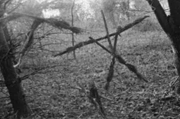 blairwitchproject-stickman