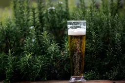 Bierrecept van bijna een eeuw oud keert terug in nieuwe vorm