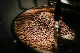 Koffie wordt flink duurder door afnemende biodiversiteit